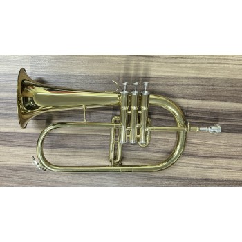 Flugelhorn DASONS FG8612G Laqueado Si Bemol - Usado